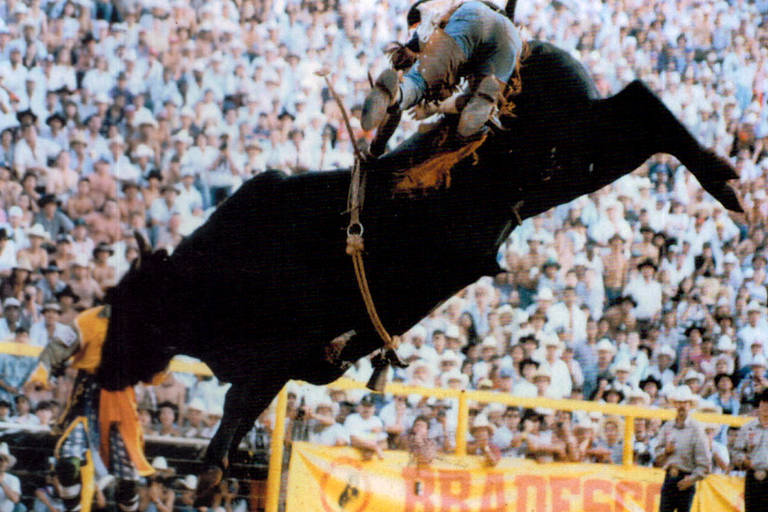 Barretos 2017: rodeio internacional - primeira noite; FOTOS, Festa do Peão  de Barretos 2017