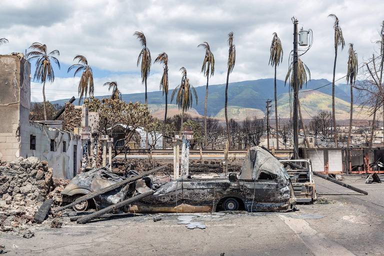 Palmeiras queimadas e veículos destruídos após incêndio em Lahaina, no Havaí