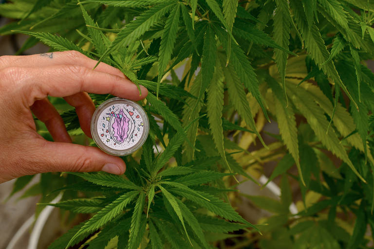 Pai é flagrado fumando maconha com criança de quatro anos dentro