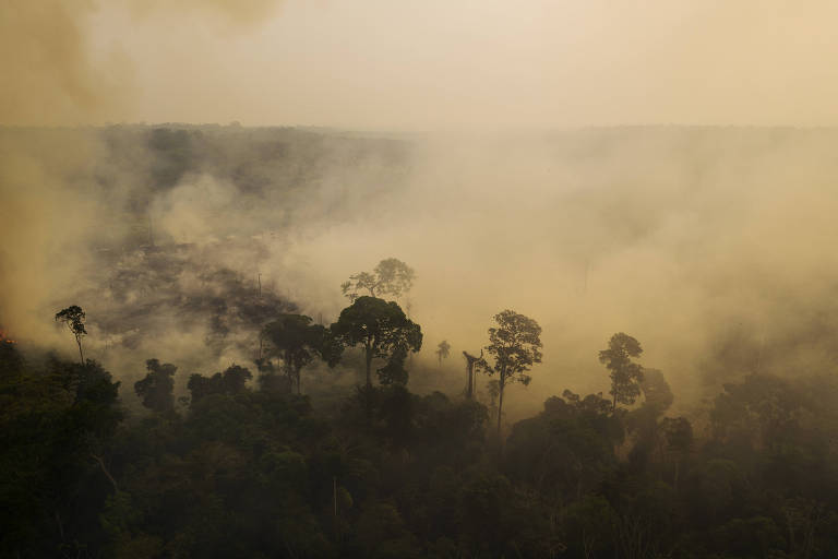Nasa projeta risco alto para Norte e Centro-Oeste do Brasil com 2°C de aquecimento do planeta