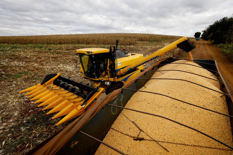 Máquina agrícola é usada em lavoura de milho em Maringá (PR); agro ajudou PIB em 2023
