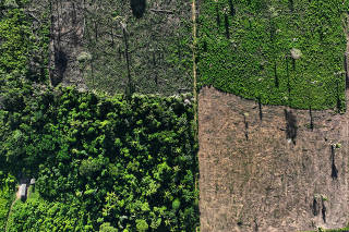FILE PHOTO: Operation to combat deforestation in Uruara