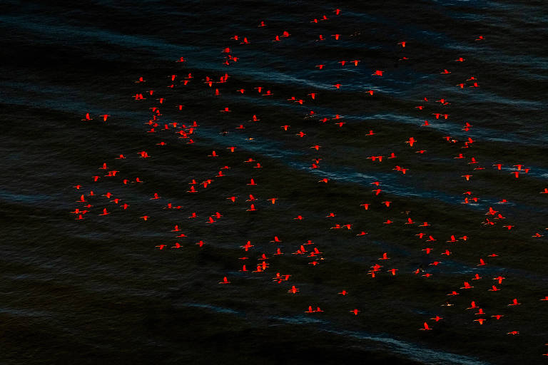 Fotógrafo expõe paisagem de litoral que Petrobras quer explorar