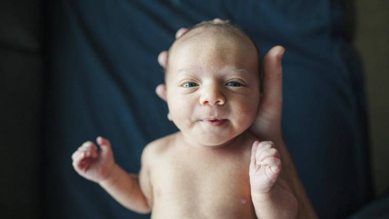 Bebê pequeno tem sua cabeça segurada por mão humana e olha diretamente para a câmera