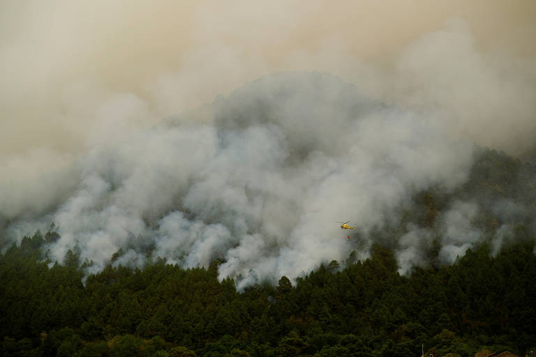 Incêndios florestais e enchentes se multiplicam no Hemisfério Norte em agosto