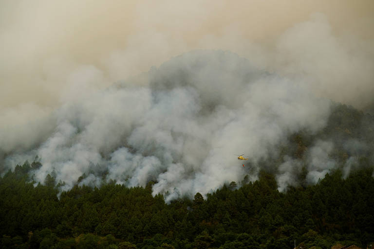 Geração Z usa TikTok e Justiça contra mudança climática - 28/08