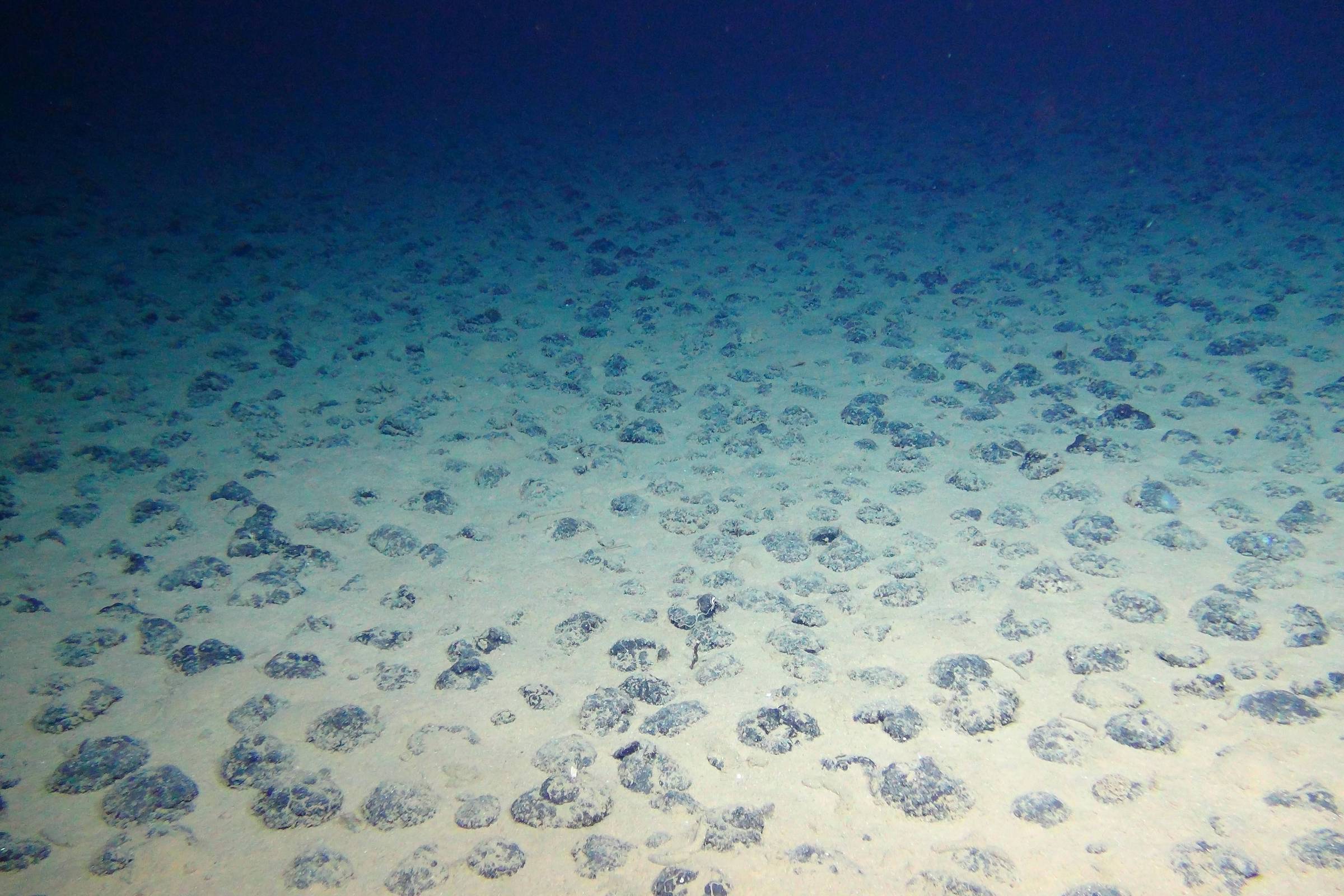 A nova Fronteira: O Mar Profundo