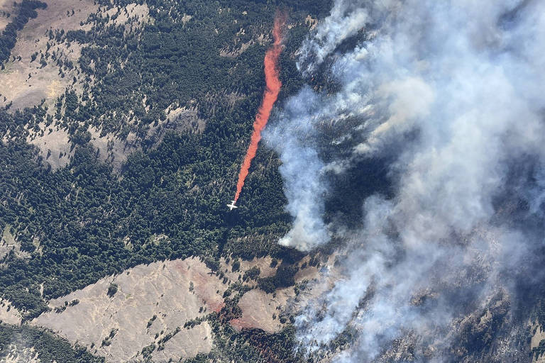 Incêndios florestais em Upper Park Rill Creek, no South Okanagan de British Columbia, no Canadá
