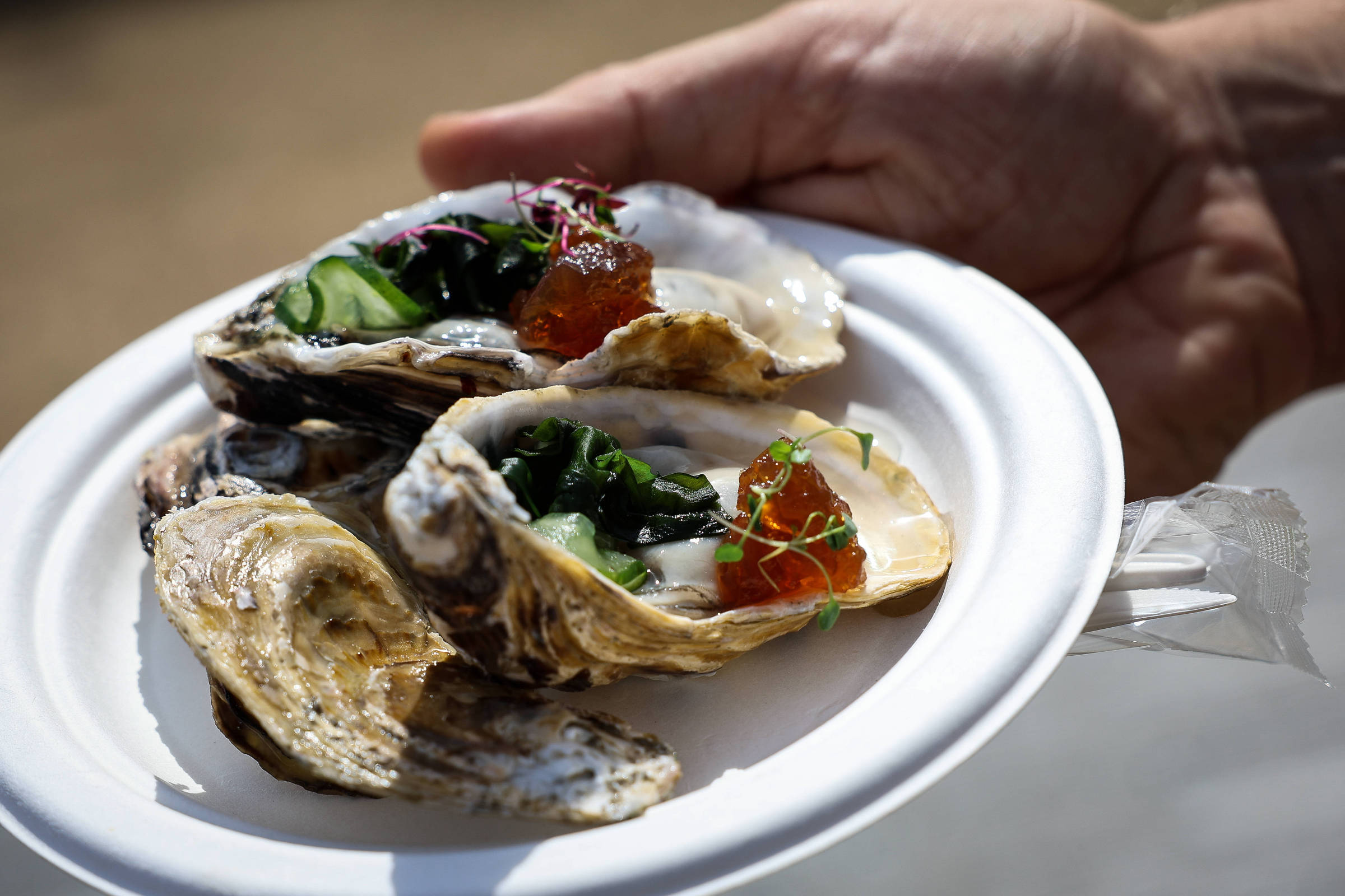 Festival leva gastronomia, shows e serviços ao Villa-Lobos até domingo