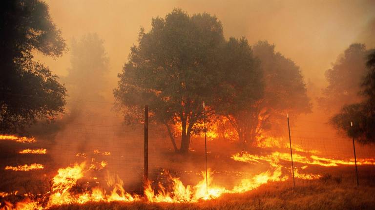 Fogo na Califórnia; na última década, incêndios florestais tornaram-se cada vez mais comuns devido às mudanças climáticas
