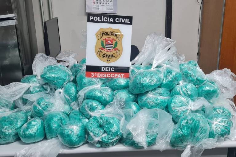 Polícia apreende 10 mil porções de drogas em SP e diz que destino seria a cracolândia