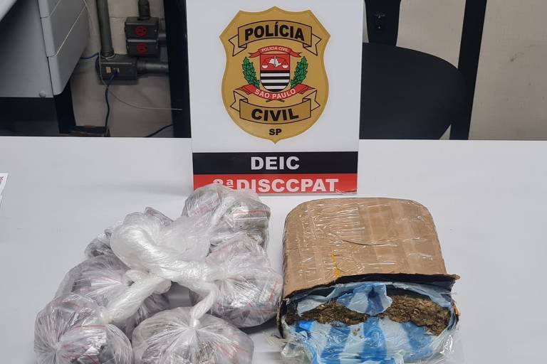 Polícia apreende 10 mil porções de drogas em SP