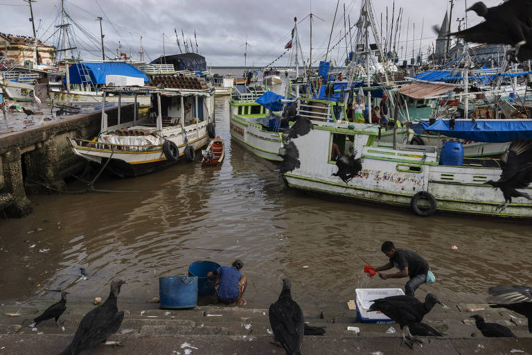 Homem limpa caixa usada no transporte de pescado em frente ao Mercado do Ver-o-Peso， na costa de Belém