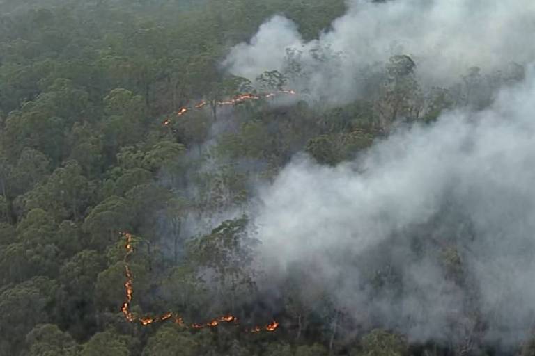 Focos de incêndio em vegetação próximos à rodovia