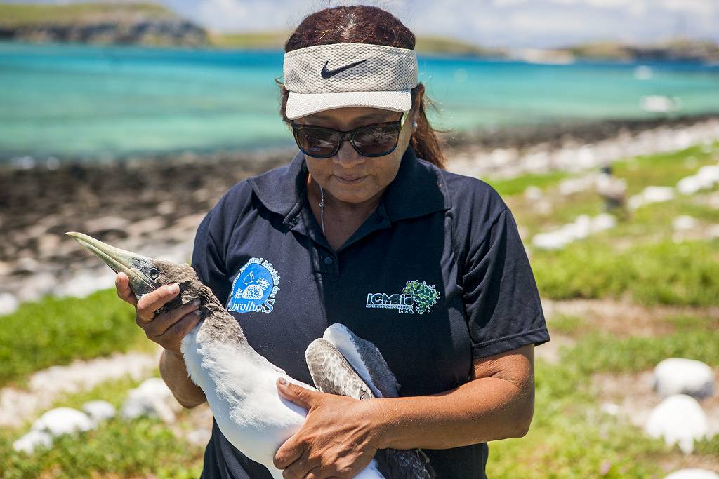 Abrolhos: Server wins award for 35-year commitment – 08/26/2023 – Environment
