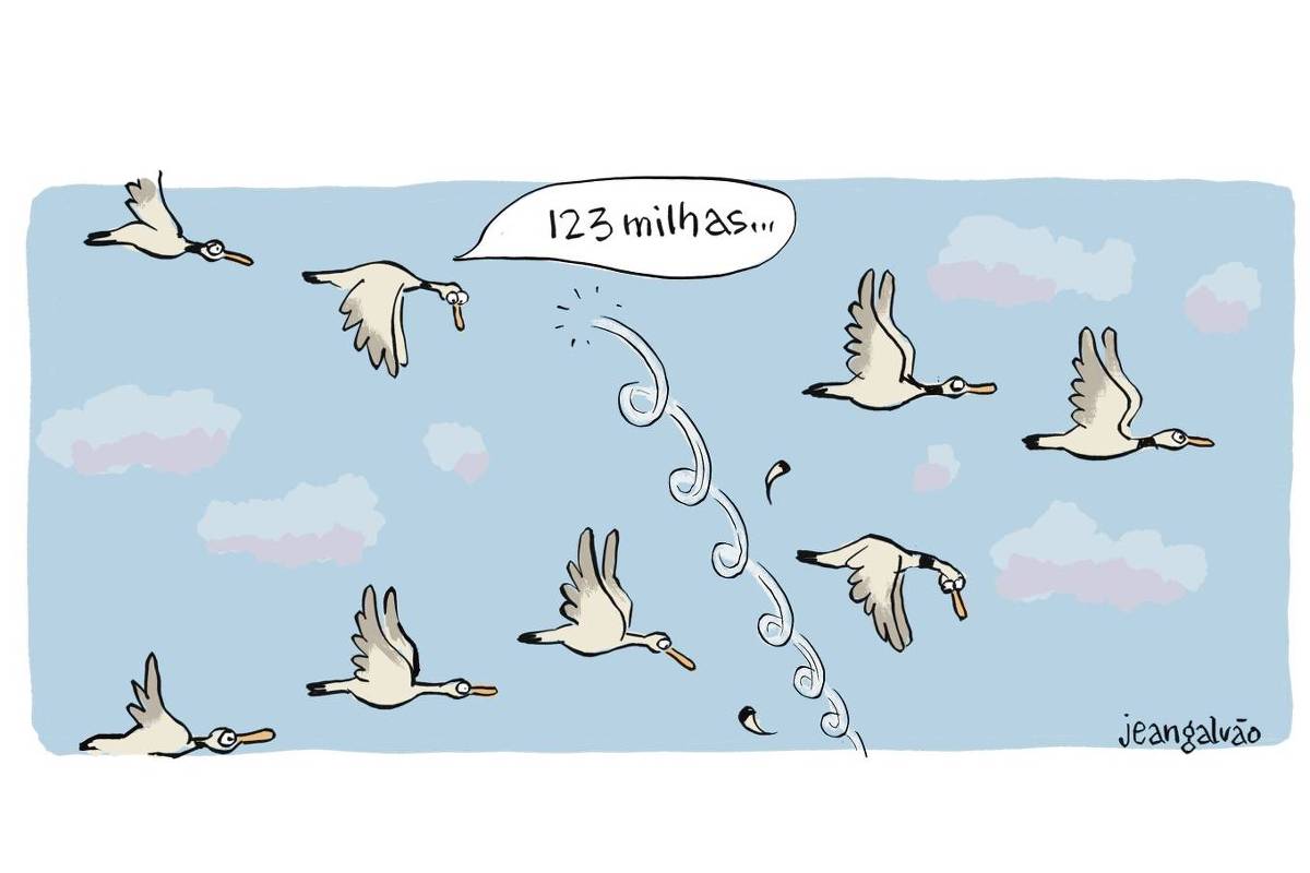 A charge de Jean Galvão publicada na Folha mostra o céu com uma formação de pássaros migratórios. Vemos um rastro rastro da queda de um deles. Outro comenta: “ 123 Milhas…”