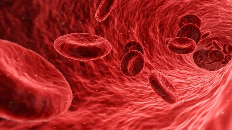Ilustração de células do sangue