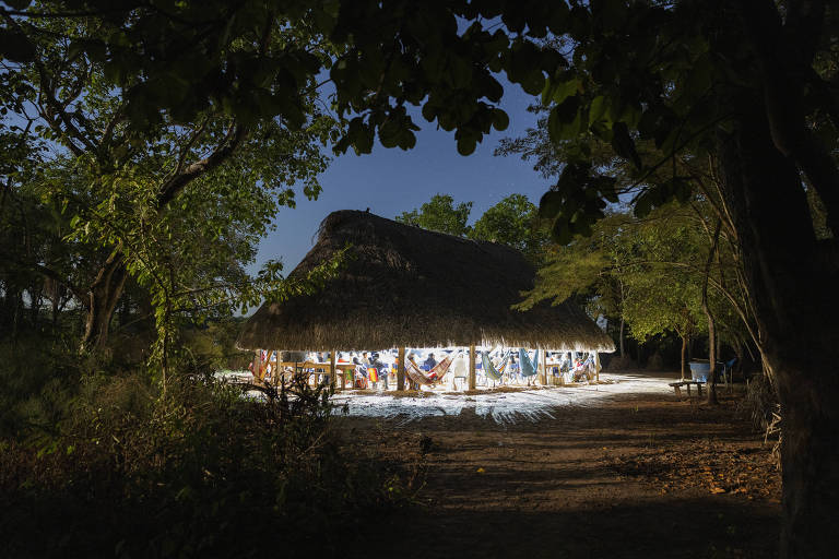 Como ayahuasca renovou tradições de indígenas do Xingu