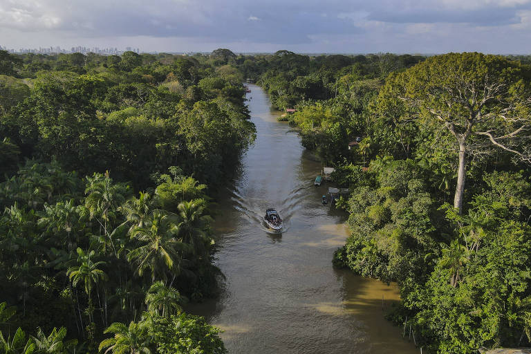 Bote navega por rio na floresta amazônica