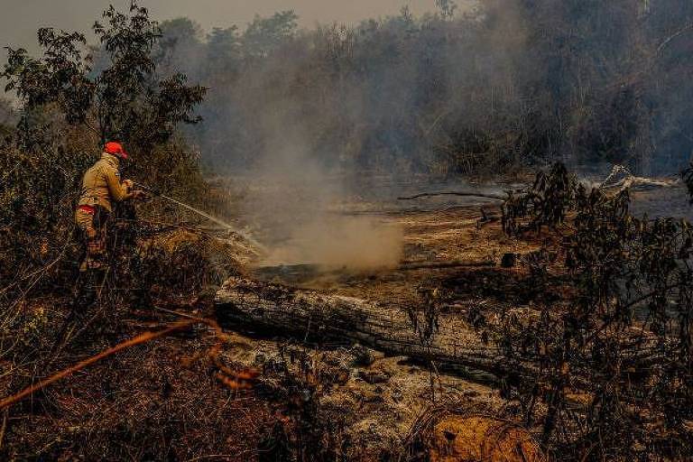 Em 2020, grandes incêndios queimaram 30% da área do Pantanal