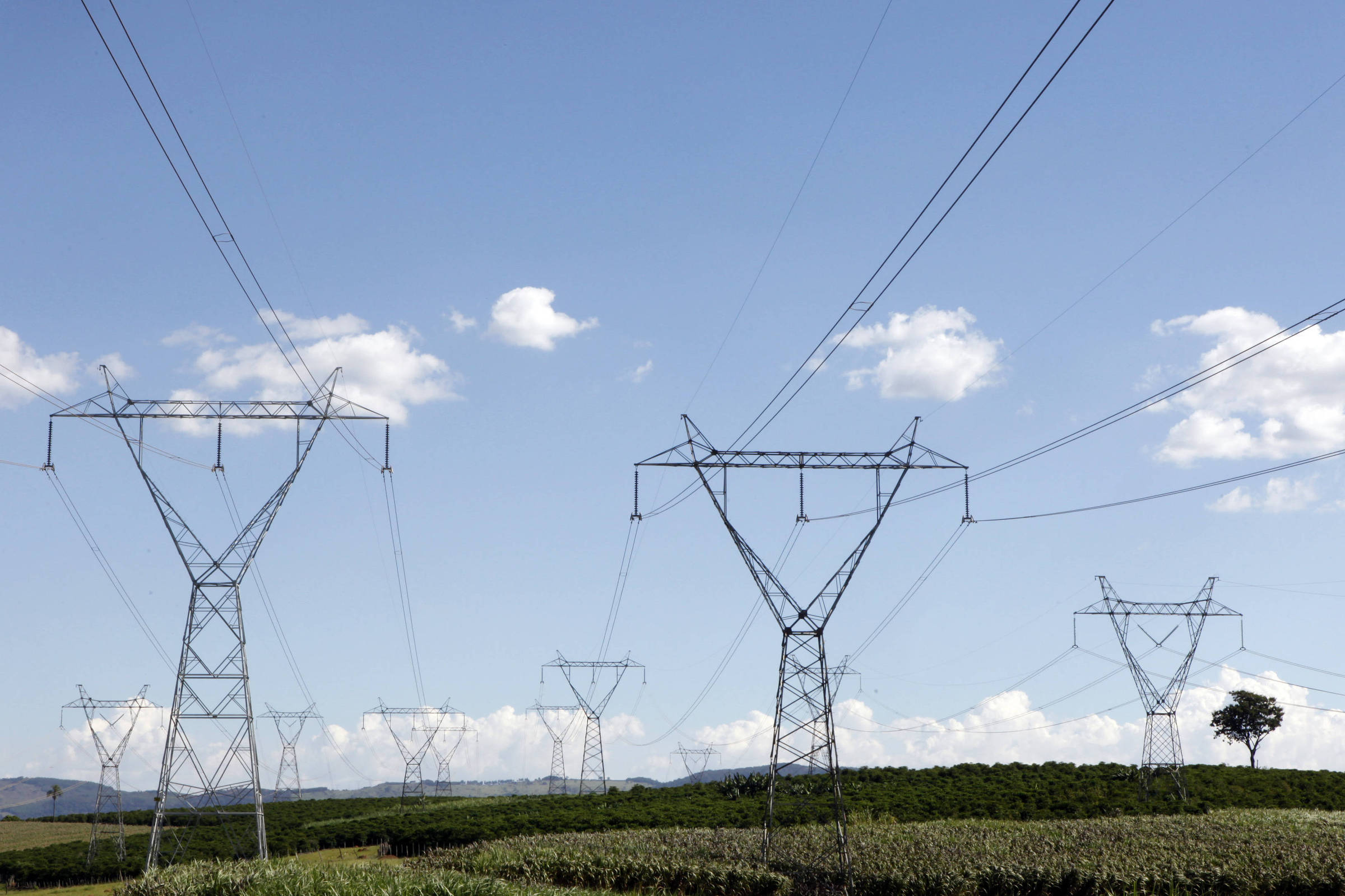 TCU should unlock auction that avoids R billion more in electricity bills – 11/28/2023 – Panel SA