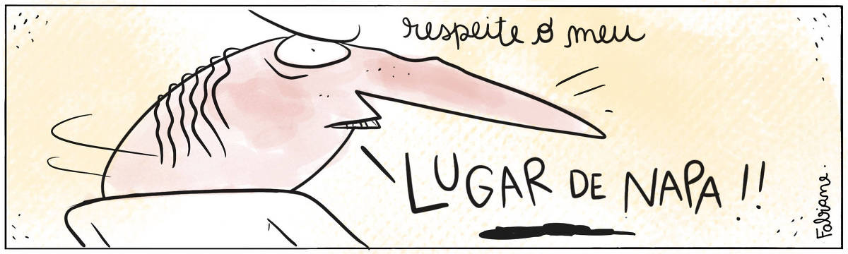 A tira Viver Dói, de Fabiane Langona, publicada em 31/08/2023, mostra um homem bravo, com olhar de quem impõe e exige respeito e inclusão. Ele está de costas, com o rosto inclinado para o lado, olhando fixamente para o leitor. Seu nariz é imenso, ocupando quase toda área da tirinha. No quadrinho 1, o personagem diz: "Respeite o meu.. LUGAR DE NAPA!!". 
