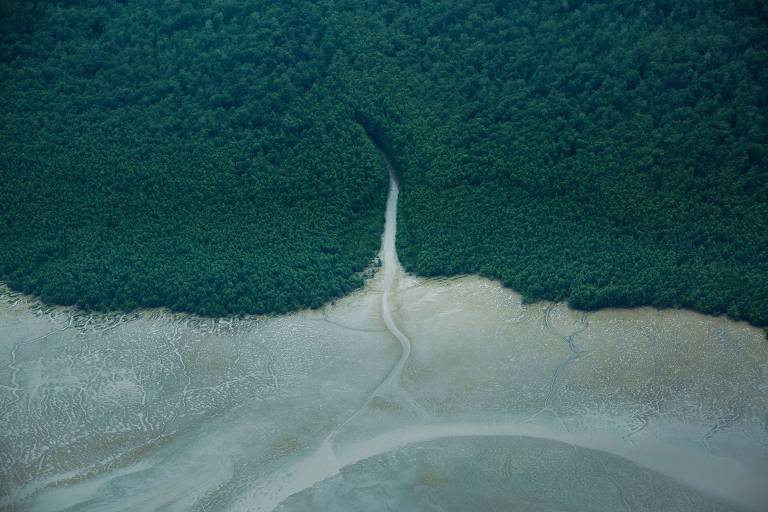 Licença de petróleo na Foz do Amazonas prevê impacto em 8 países e Petrobras diz buscar atingidos
