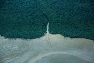 Expedição Corais da Foz do Amazonas 