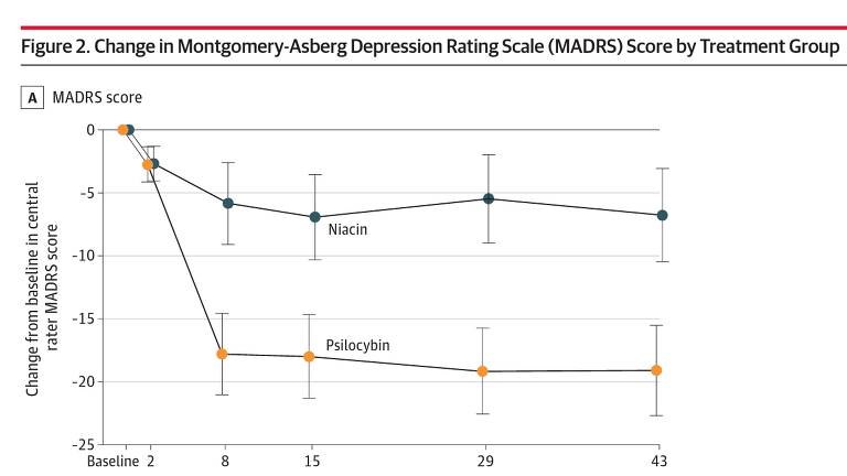 Gráfico mostra melhora rápida de depressão com psilocibina