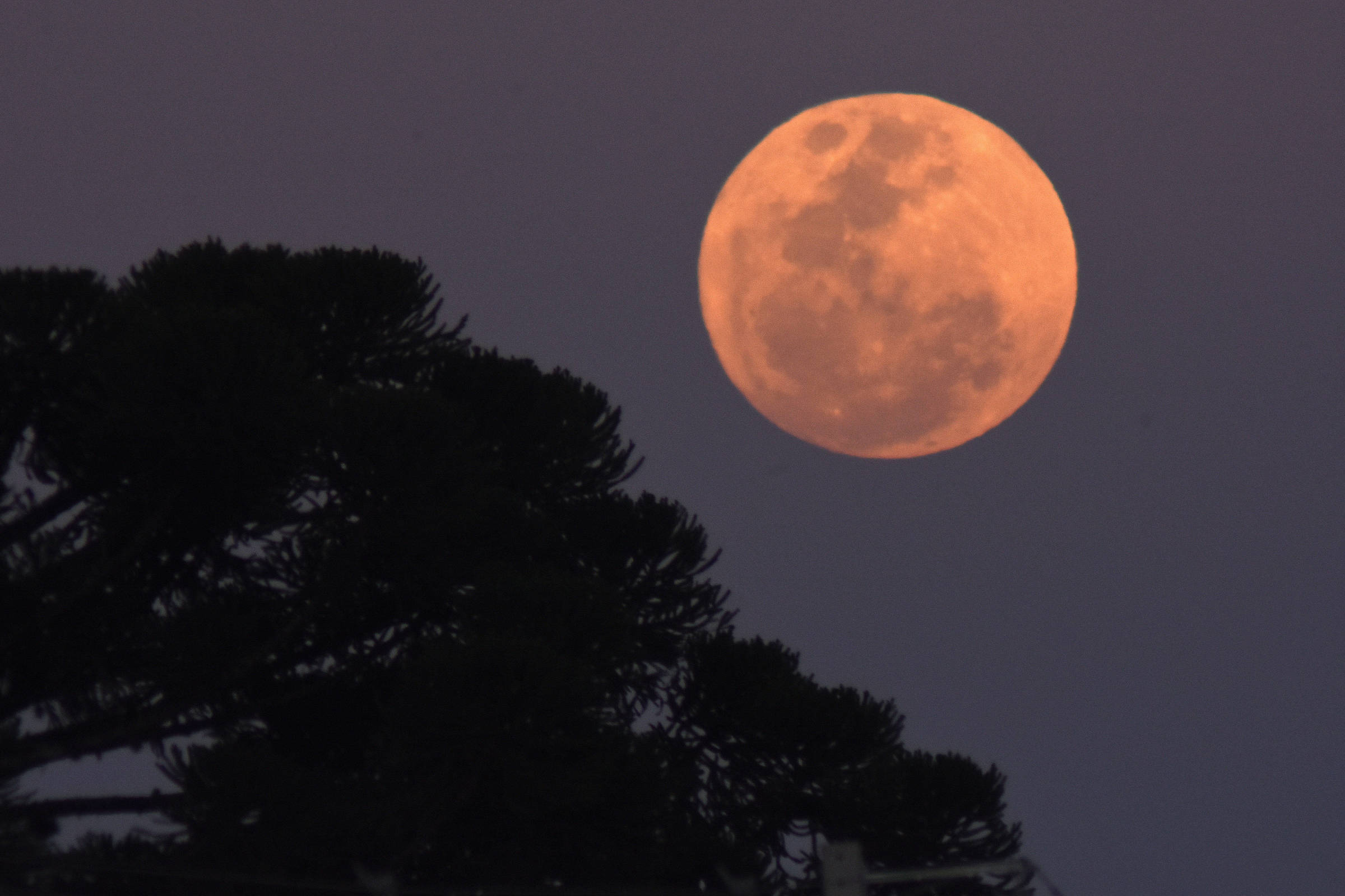 Primeira superlua de agosto acontece nesta terça; veja onde assisti-la