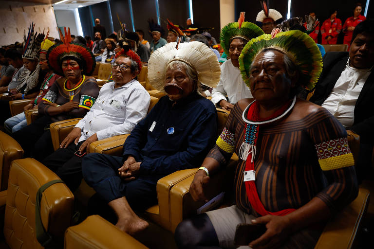 Raoni e outros indígenas sentados no plenário