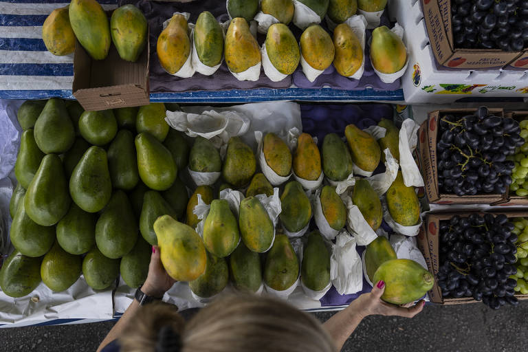 Apesar da possibilidade de apresentar uma ligeira redução em sua área plantada ao longo da próxima década, o mamão deve aumentar em 2,2% sua produção e chegar em 1,3 milhão de toneladas produzidas em 2033