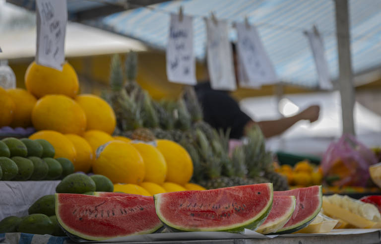 Empresas e especialistas do setor dizem que os números apresentados pelo Ministério da Agricultura dependem de fatores como expansão do mercado externo e estabilidade na flutuação do câmbio