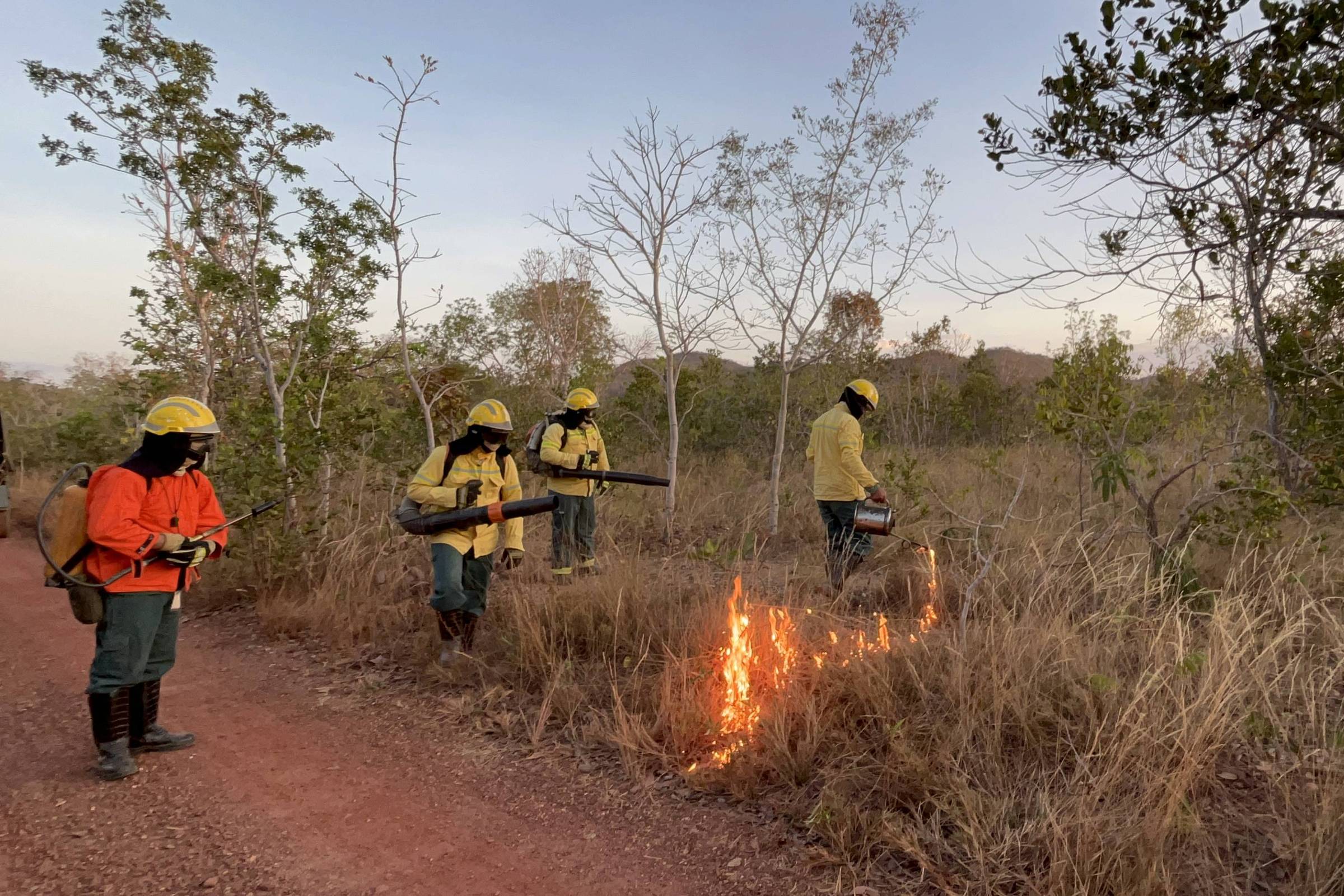 Cerrado: judicious use of fire helps prevent wildfires – 09/10/2023 – Environment