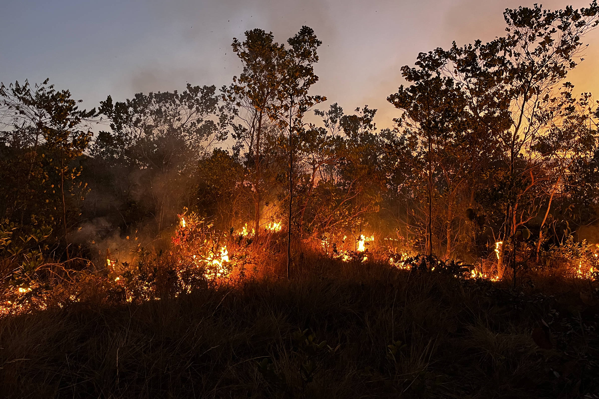 Plan against deforestation in the cerrado goes into consultation – 09/13/2023 – Environment Plan against deforestation in the cerrado goes into consultation – 09/13/2023 – Environment