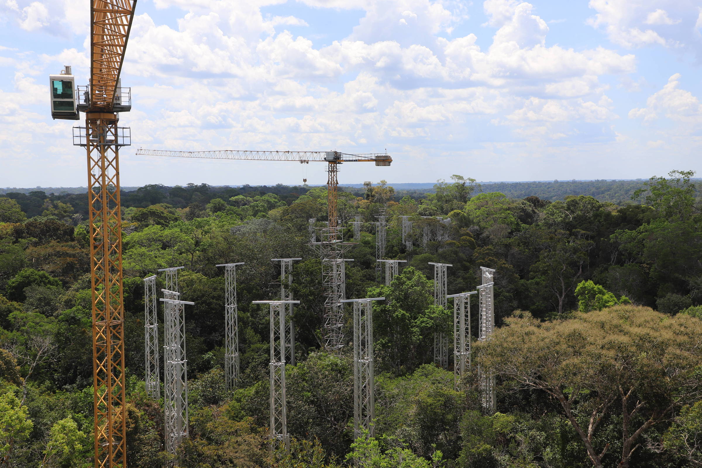 Megaproject in the Amazon will test carbon absorption – 09/04/2023 – Environment