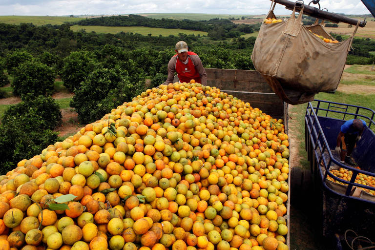 Preço externo cai, mas dólar segura alimentos internamente