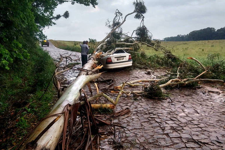 Temporais com rajadas de vento deixam um morto em Santa Catarina