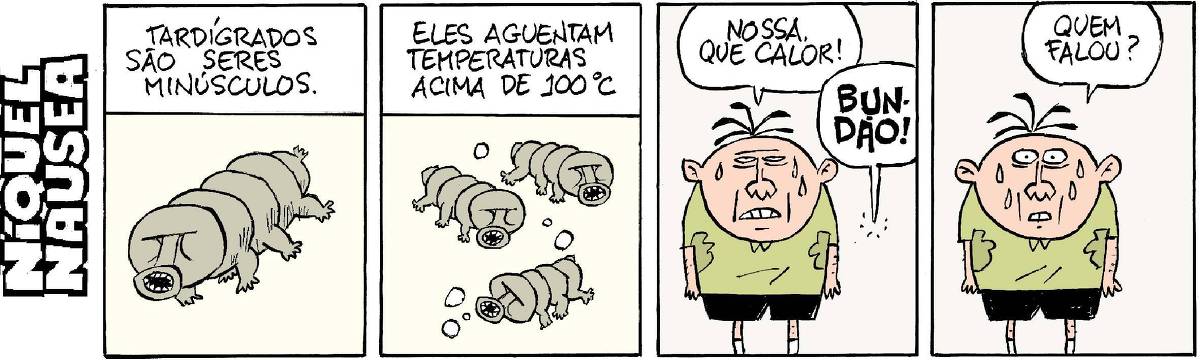 A tira tem quatro quadrinhos. O primeiro inicia com uma legenda: tardígrados são seres minúsculos. E no centro do quadrinho há um desenho de um tardígrado. O segundo quadrinho também inicia com uma legenda: eles aguentam temperaturas acima de 100 graus Celsius. No desenho aparecem quatro tardígrados. No terceiro um homem em pé todo suado exclama: nossa que calor! Ao lado, de um lugar no espaço sai o balão do quadrinho que exclama: bundão! No quarto quadrinho, o homem suado está espantado e pergunta: quem falou?