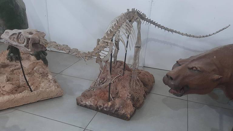 Esqueleto do Guaibasaurus candelariensis