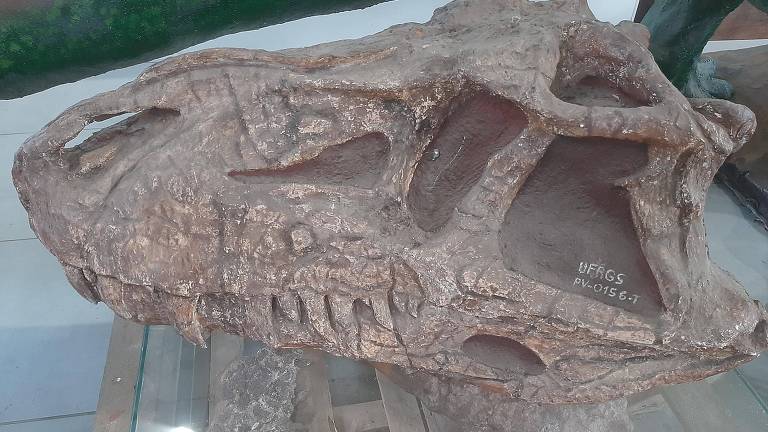 Crânio do Prestosuchus chiniquensis