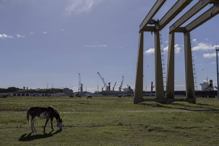 O estaleiro da empresa Quip que foi abandonado e hoje é usado como pasto.