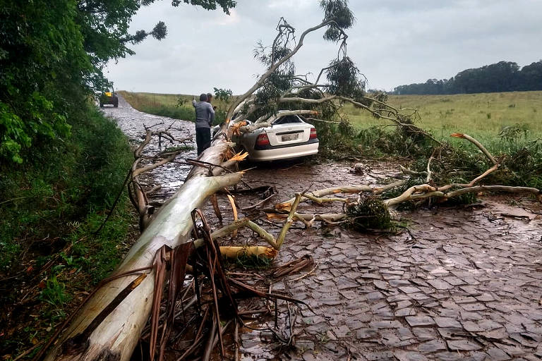 Em Jupiá, no oeste de Santa Catarina, um homem morreu após o carro em que ele estava ter sido atingido por uma árvore durante a tempestade e ventania