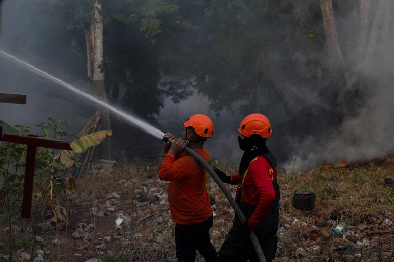 No ano passado, o Amazonas teve o seu pior setembro (8.659 focos) na série histórica de registros de queimadas do Inpe, iniciada em 1998; na foto, combate a fogo em Iranduba