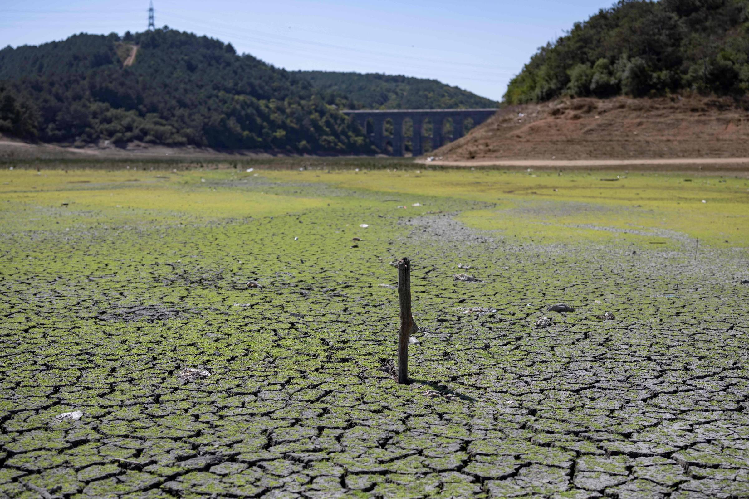 Nature withdraws misleading article about climate change – 09/08/2023 – Environment