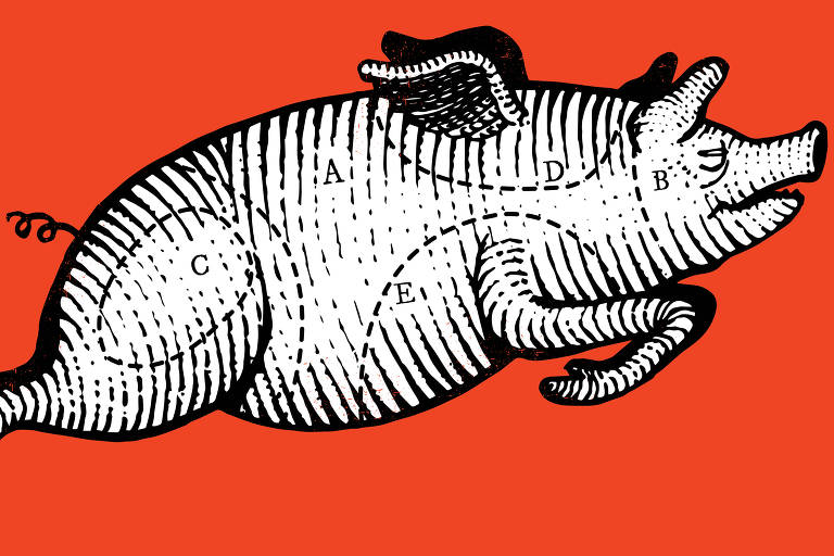 Ilustração de Edson Ikê publicada na Folha de S.Paulo em 10 de setembro de 2023 mostra, sobre um fundo vermelho, um porco desenhado com hachuras em preto e branco. Ele tem pequenas asas 