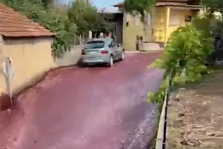 'Rio de vinho' inunda cidade em Portugal após acidente em destilaria
