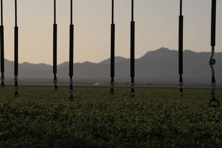 O sol nasce atrás de um sistema de irrigação de pivô central no Vale de Butler, Arizona. O uso excessivo de água na agricultura industrial está secando os aquíferos do país