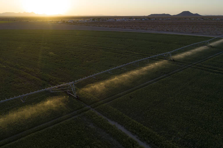 Um vasto sistema de irrigação de pivô central opera ao pôr do sol em Vicksburg, Arizona, um dos estados mais atingidos pela crise hídrica
