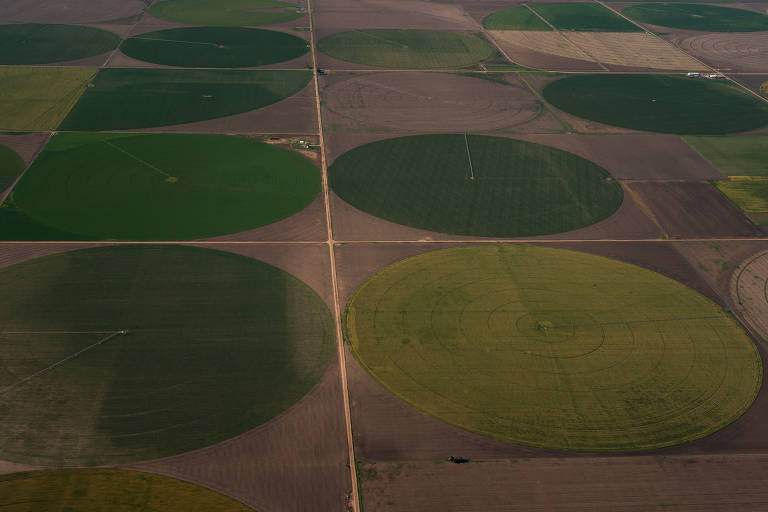 Campos irrigados por pivô central nas terras agrícolas ao redor de Garden City, Kansas. Em grande parte das Grandes Planícies, a paisagem é dominada por esses pivôs, mas no condado de Wichita há pouca água restante para ser utilizada. Os poços começaram a secar